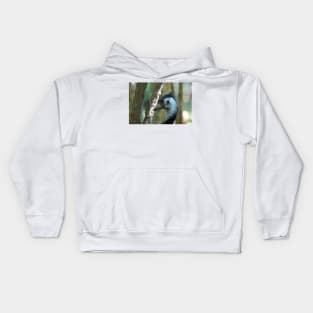 Emu Kids Hoodie